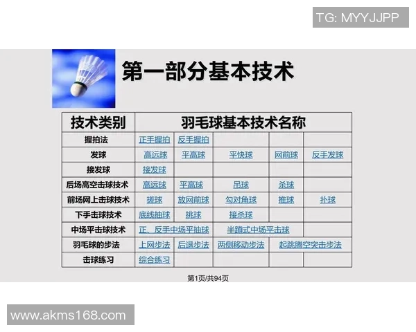 上海羽毛球队在精英赛中的灵活性展现与战术分析 上海羽毛球队在精英赛中的灵活性展现与战术分析
