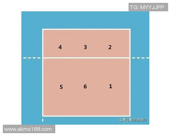 深入分析北京排球队整体压制战术及其在比赛中的应用与成效 深入分析北京排球队整体压制战术及其在比赛中的应用与成效